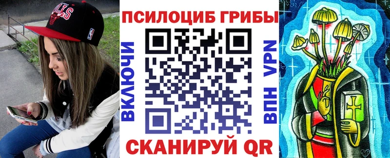 Псилоцибиновые грибы Psilocybine cubensis магазин продажи наркотиков Дмитровск